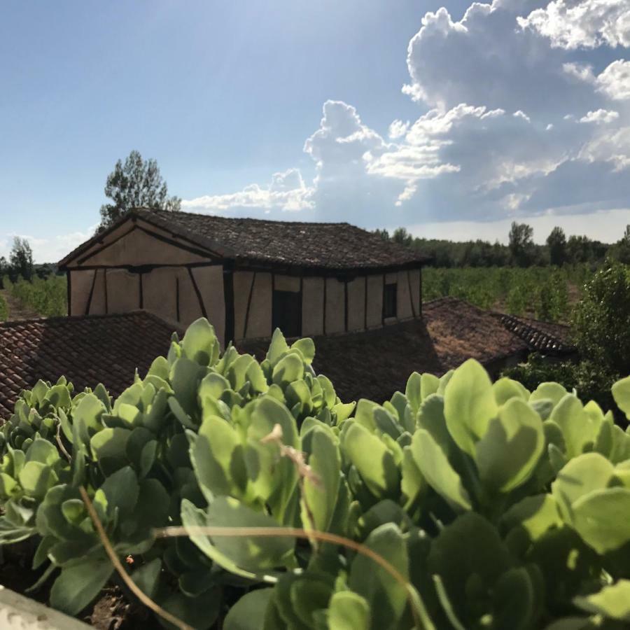 Molino De Villacelama Zewnętrze zdjęcie